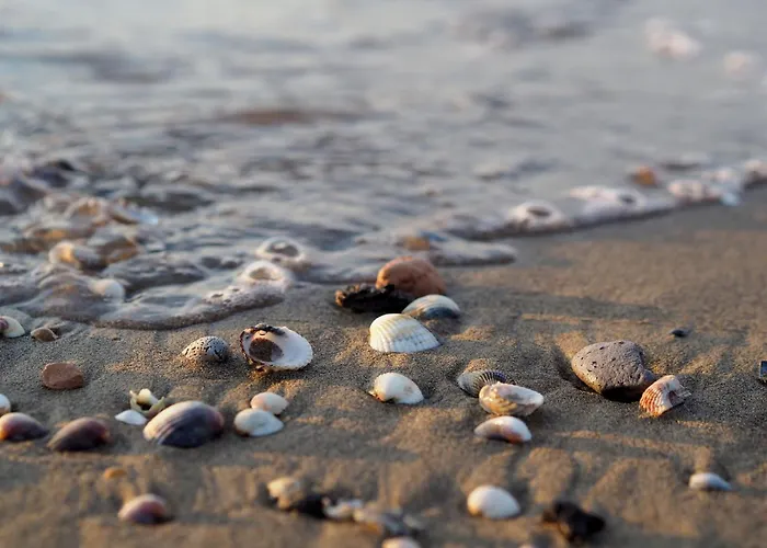 Appartamento Seafront With Shared Pool Bibione